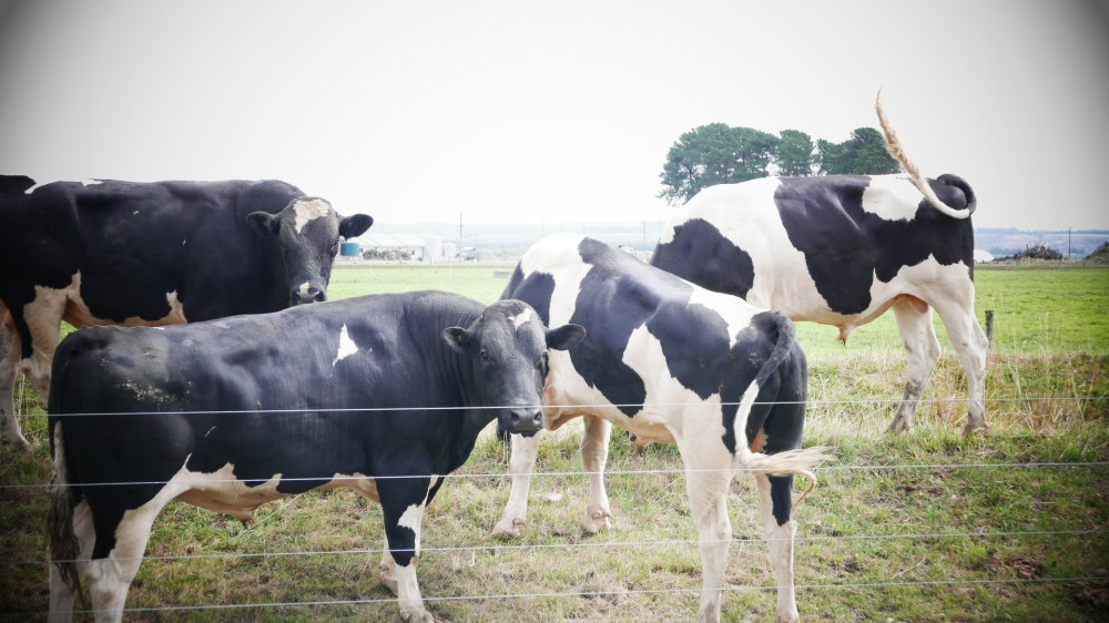 Yes, it looks like Wisconsin - but on crack